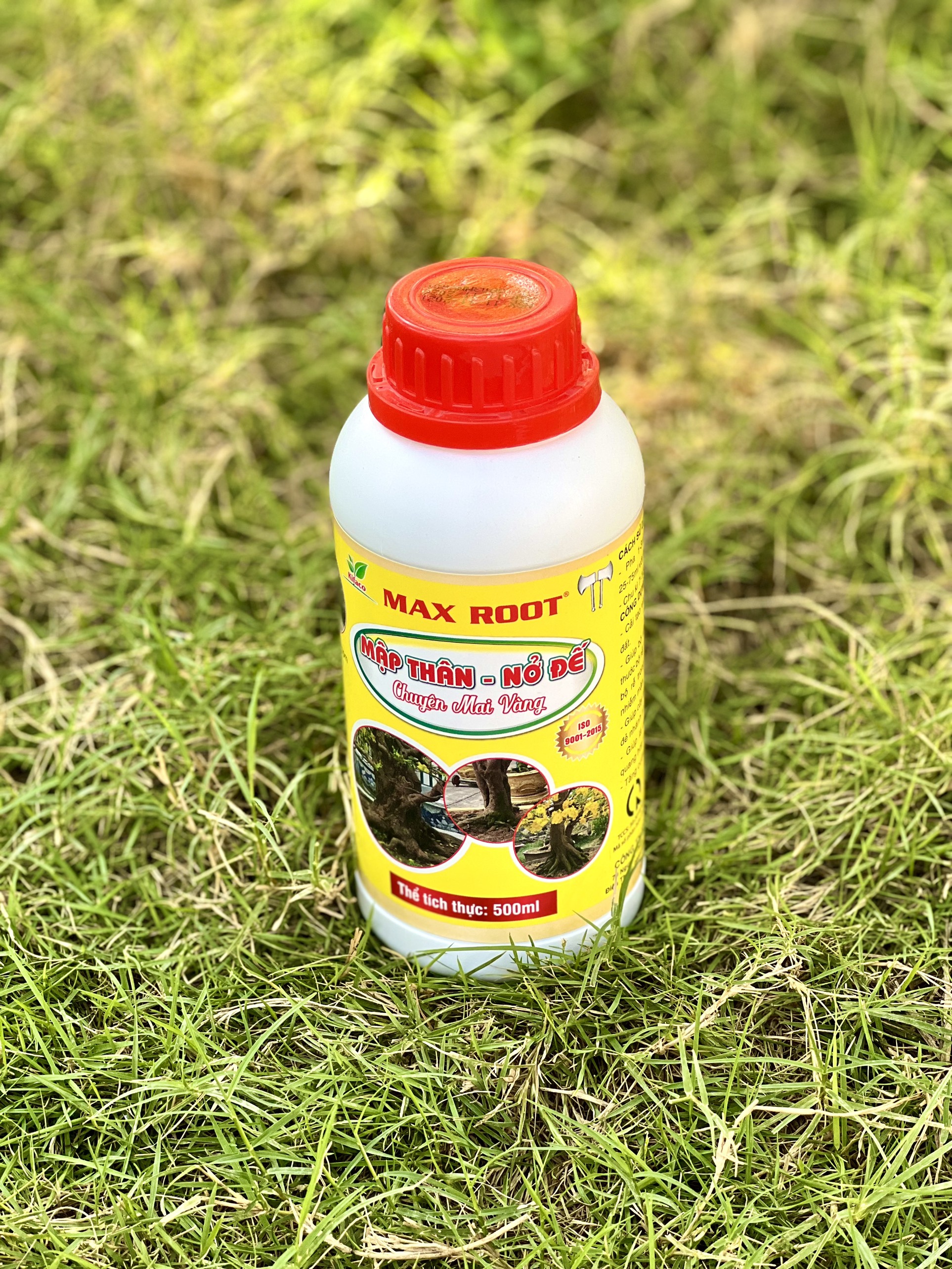 Phân bón mập thân nở đế chuyên mai vàng chai 500ml