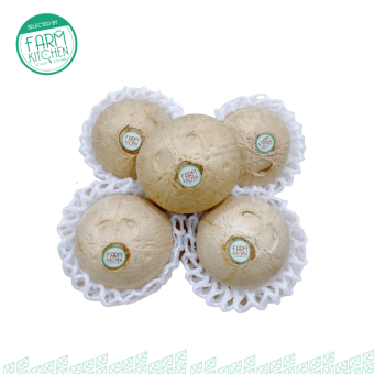 Dừa xiêm gọt trọc Bến Tre kèm ống hút, tươi mỗi ngày, rất ngọt