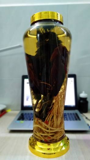 Bìm bịp ngâm rượu bình 7L, (cam kết nguyên cốt)