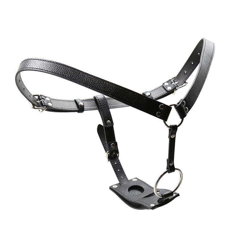 male butt plug harness