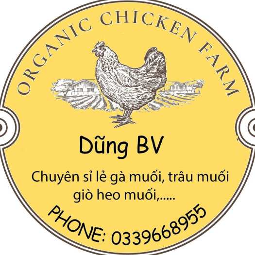 Gà ủ muối 1 con