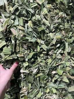 100GR Lá nếp sấy khô ( lá dứa sấy khô)