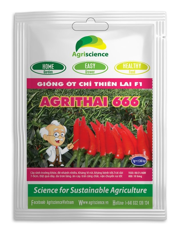Hạt giống ớt chỉ thiên lai f1 - agri thai 666