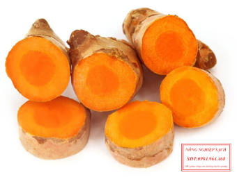 3kg nghệ vàng tươi