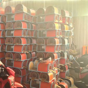 Bẫy chuột thông minh