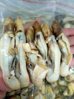 Thịt Ôc Móng Tay Đã Tách Vỏ (Túi 1kg)