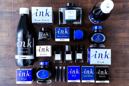 MỰC BÚT MÁY PILOT INK-30