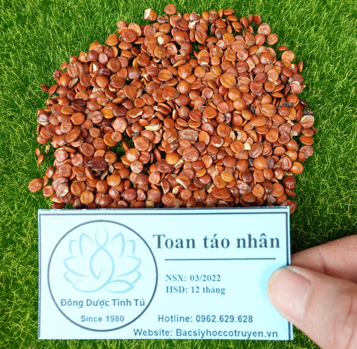Toan táo nhân 100g, dược liệu loại 1, khô, sạch