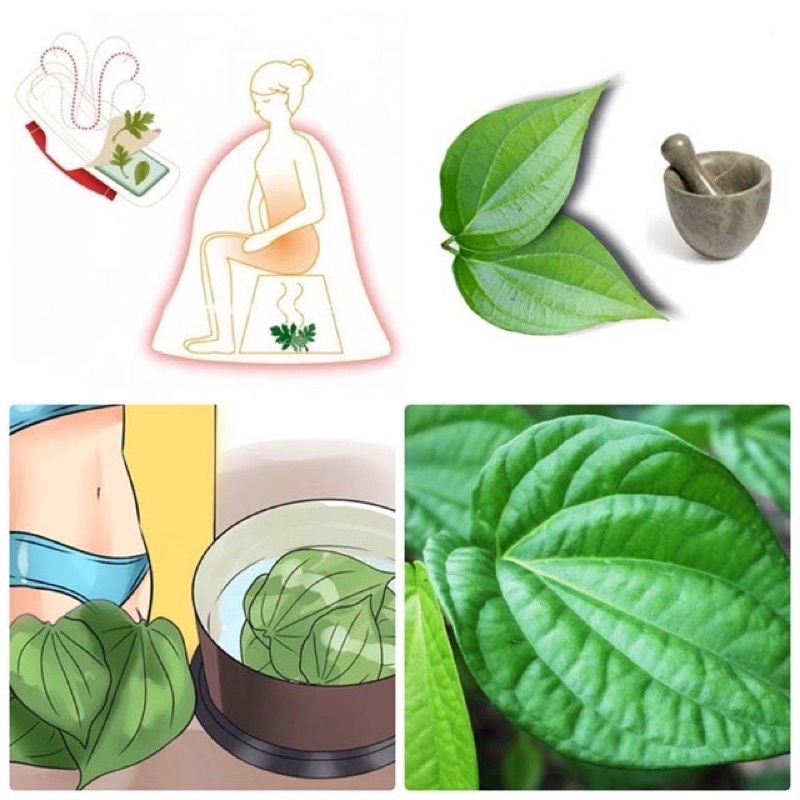 Gói xông sản phụ, gói xông vùng kín, bột lá trầu không SỈ SLL