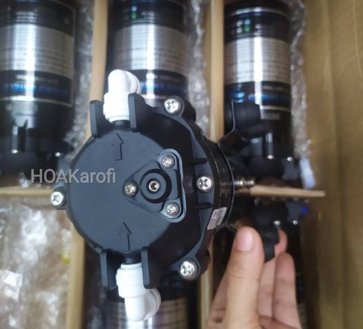 Bơm Tăng Áp 24v Grand Forest GFP 50 - Hút Đẩy Siêu Khỏe - Dùng Cho Máy Lọc Nước RO và Dàn Phun Sương ( Tặng kèm cút )