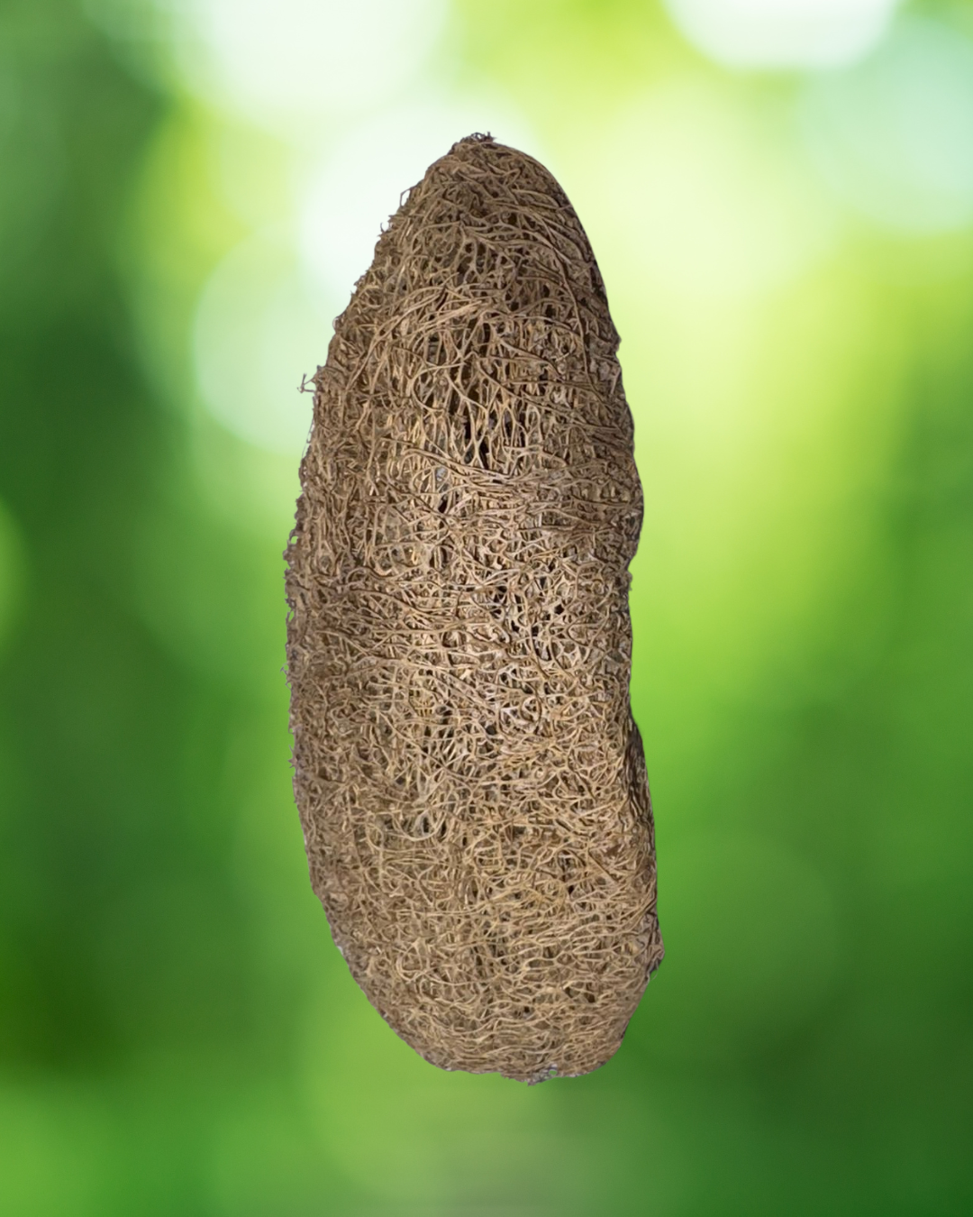 fc1f05a77f224fdd97cbf12014a154f5.png