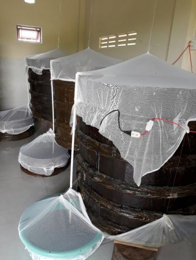 Nước mắm nhỉ cá cơm 250ml/chai - Chấm sống thơm ngon.