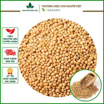 100g Hạt mù tạt vàng nguyên chất (Wasabi gia vị món Âu) - Chợ Thảo Dược Việt