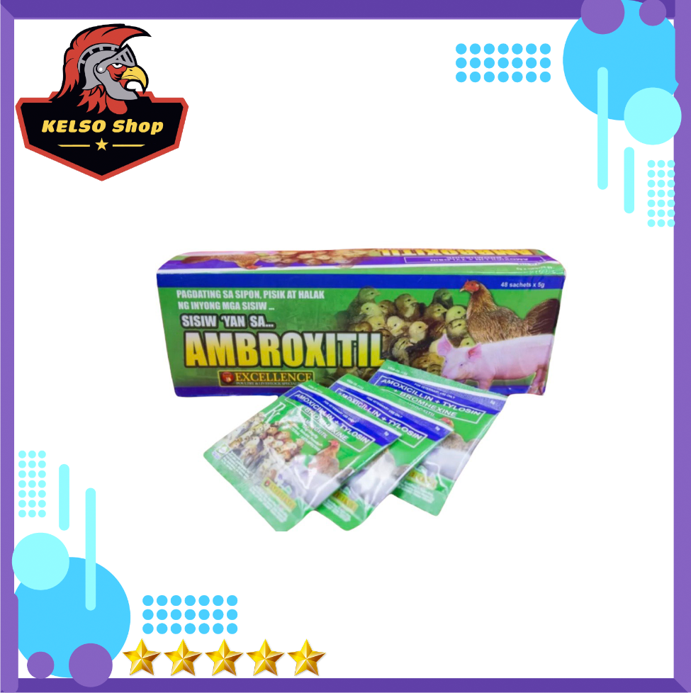 Thuốc gà đá combo 12 gói úm gà con nhập ambroxitil gói 5 gam