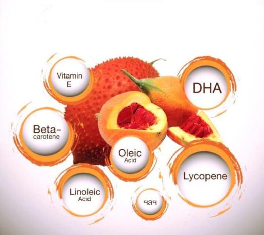 Viên uống dầu gấc Viphar Hộp 100 viên - Đẹp da - VNP