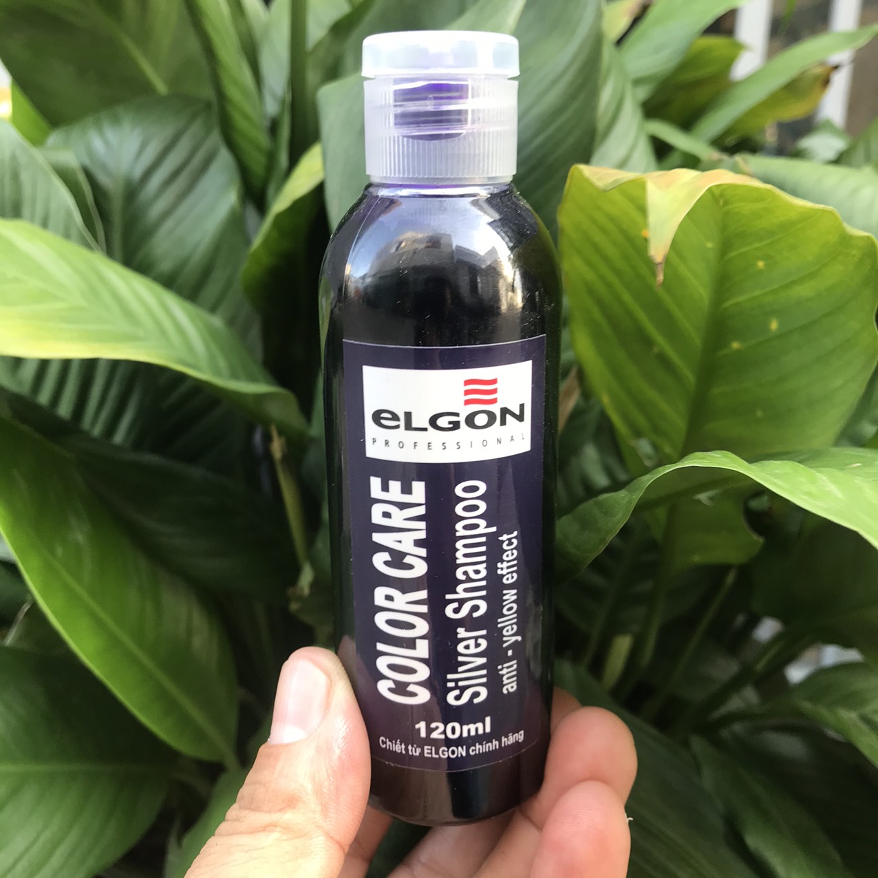 Dầu Gội Khử Vàng Elgon Silver Shampoo CHÍNH HÃNG (120ml)