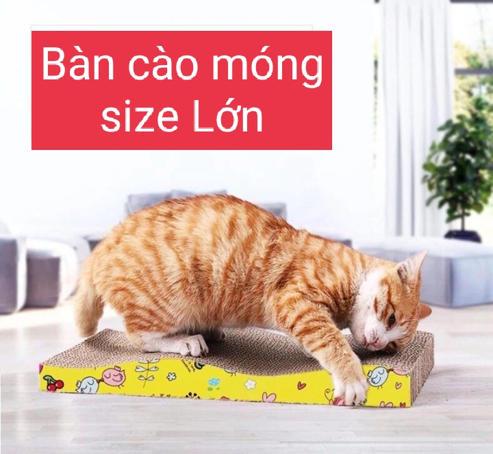 (SIZE TO) BÀN CÀO MÓNG CHO MÈO HÌNH GỢN SÓNG