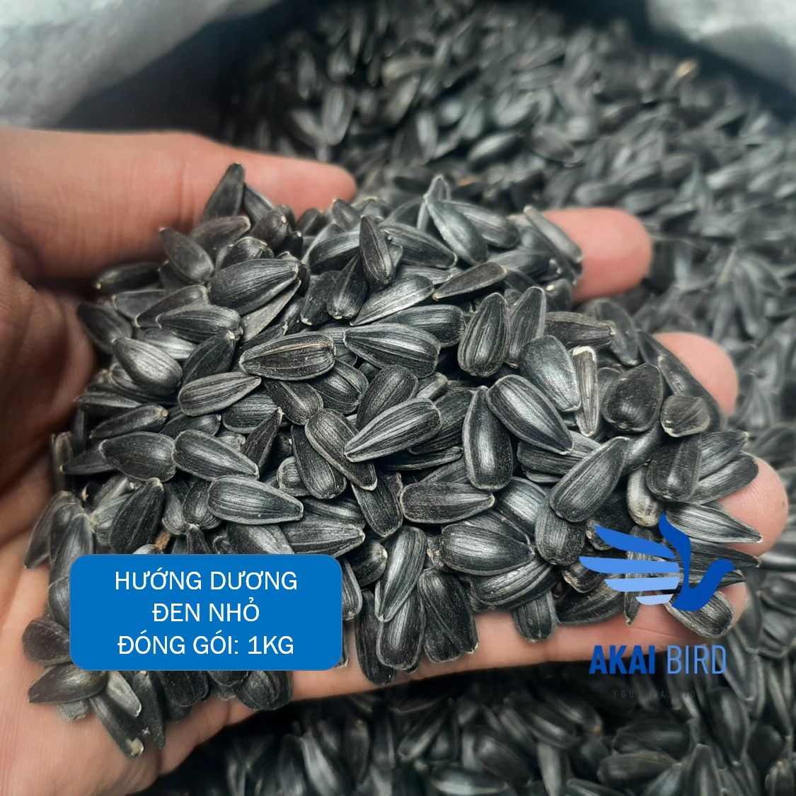 Hướng dương size nhỏ dành cho vẹt, chim cảnh, hamster, sóc....