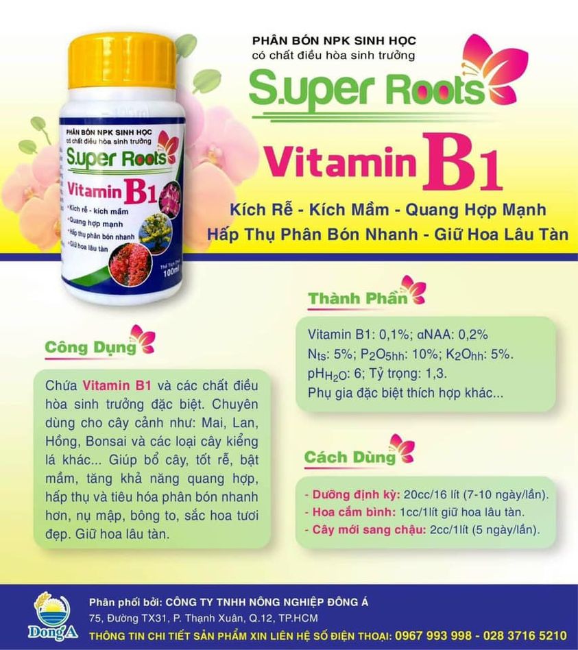 [Chính hãng] Vitamin B1 Super Root giúp phục hồi, vươn đọt và tăng sức đề kháng chống chịu hạn cho cây trồng hiệu quả