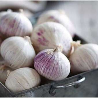 1Kg Tỏi Cô Đơn Phan Rang làm tỏi đen