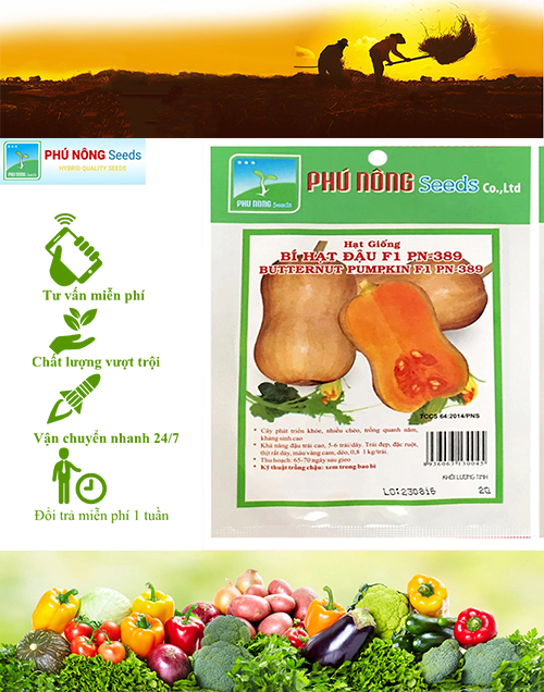 [HCM]Bí Hạt Đậu Phú Nông 389 - Gói 2g