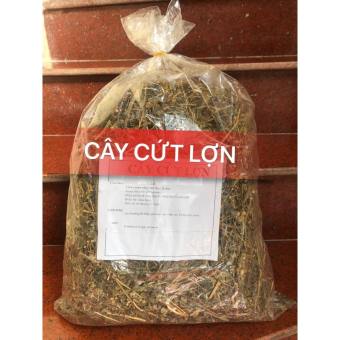 1kg cây cứt lợn khô (hoa ngũ sắc, cây cỏ hôi)