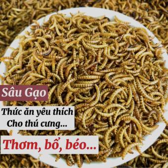 Sâu Gạo sấy khô, thức ăn yêu thích cho Hamster, chim, vẹt, gà đá, cá cảnh, sóc, nhím 50gram