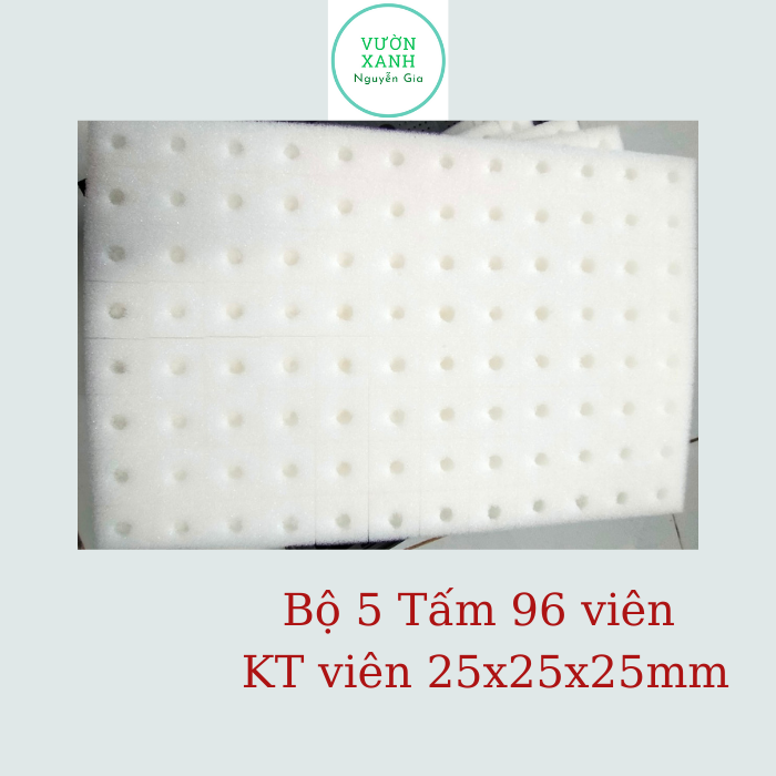 Bộ 5 Tấm (480 viên) Mút xốp thủy canh ươm hạt giống 96 viên có lỗ