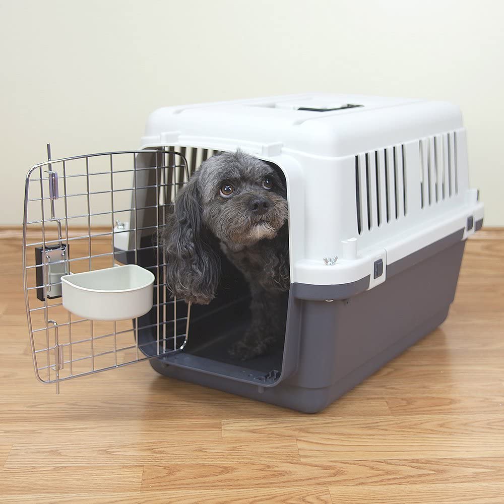 sportpet crate