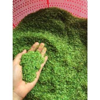 1 kg cốm xanh khô Tây Bắc thơm dẻo