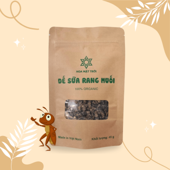 Dế Sữa Rang Muối Ăn Liền - Món Ăn Hót - Hoa Mặt Trời Farm