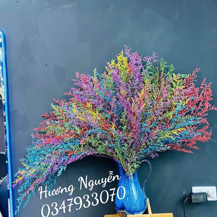 [100gr] Bó hoa sao đuôi công, hoa thủy tinh khô nhiều màu sắc decor trang trí nhà cửa