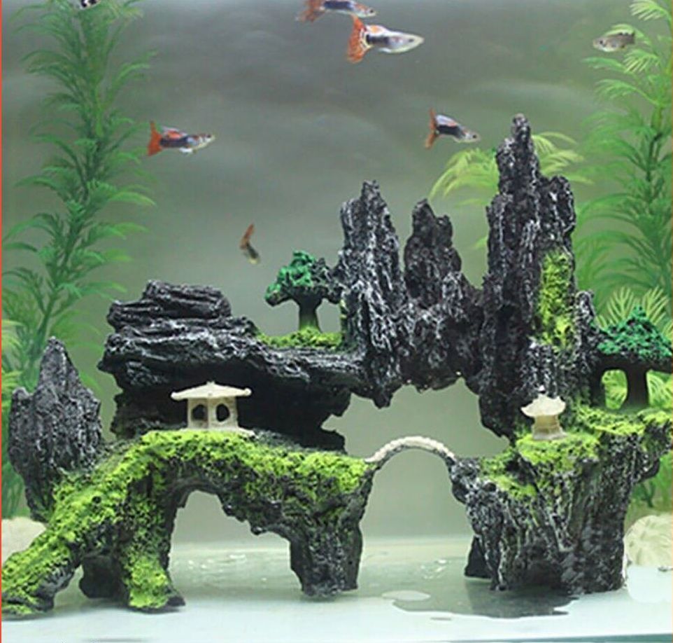 groot aquarium Harga Terbaik Tawaran Lazada Malaysia