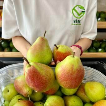 VG FARM Lê Nam Phi (500G/1KG) - ngon ngọt, thơm mềm nhẹ