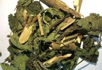 Cây mật gấu nam ( cây lá đắng ) sấy khô 500g