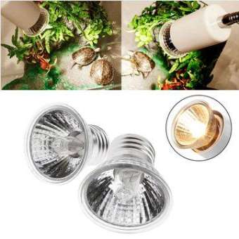 Bóng đèn sưởi ấm UVA UVB dành cho thú cưng, bò sát, rùa cảnh, rồng nam mỹ .. - công suất 75w