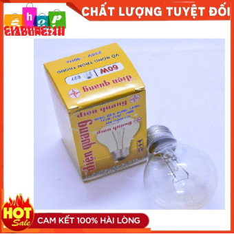 Bóng Đèn Sợi Đốt, Bóng Dây Tóc 25W,40W, 60W Điện Quang-Giadung24h