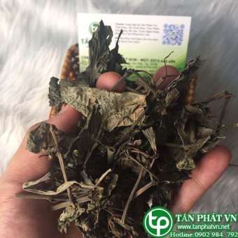 Lá lốt khô 1kg Tấn Phát