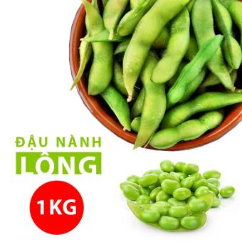 1KG hạt đậu nành lông Nhật Bản tươi dùng nấu luộc ăn tốt cho sức khỏe