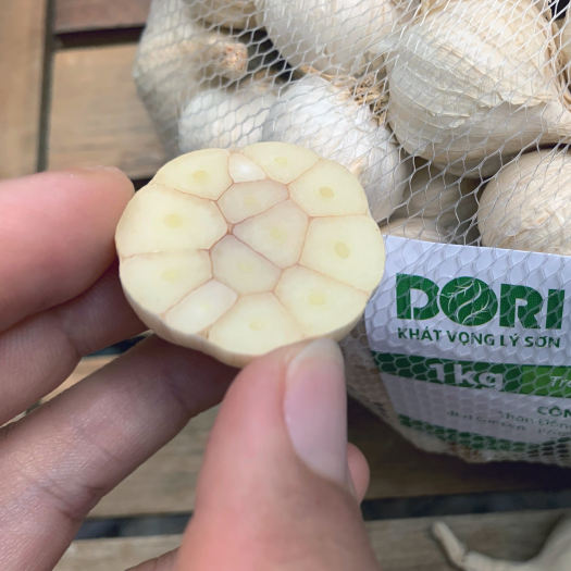 Tỏi Lý Sơn Dori - Blue - Tỏi thân dài - Túi 1kg