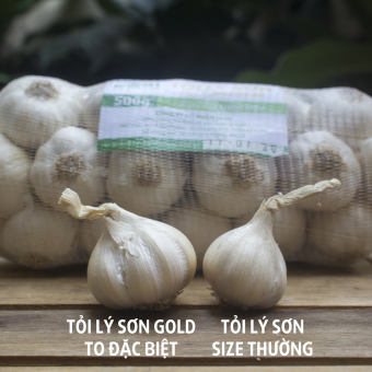 Tỏi Lý Sơn - Dori Gold - Kích Cỡ Đặc Biệt - Túi 500g - Loại tỏi nhiều tép - Trồng tại đảo Lý Sơn