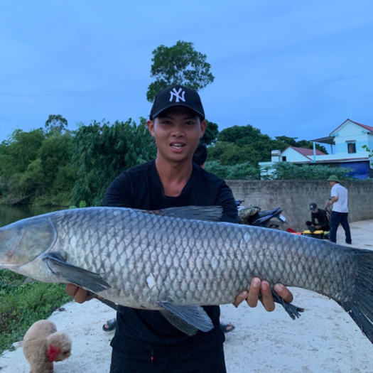 Thính câu cá LK HÒA siêu nhạy chuyên câu cá to - Mồi thính Lk Hòa dạng bột