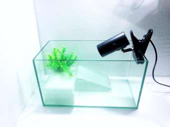 Bể Nuôi Rùa cảnh chất liệu bằng thủy tinh 35*18*20cm (TẶNG MÁNG LEO và túi thức ăn , không bao gồm đèn)