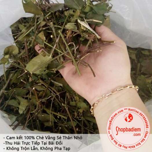 Lá Chè Vằng Khô Trà Vằng Lá Lợi Sữa Giảm Cân Cho Sản Phụ Sau Sinh - Bà ĐIểm Shop