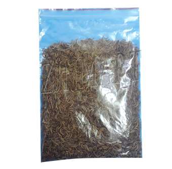 Sâu khô 50g L1 cho chim hàng tuyển, làm sâu quy khô, sâu khô cho chào mào, sâu khô loại 1 cho khuyên, sâu ngon cho chim cưng, sâu khô cho chích chòe, sâu khô cho sáo