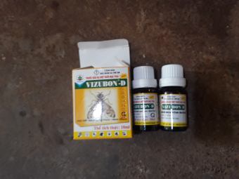 Bẫy dẫn dụ ruồi vàng Vizubon d