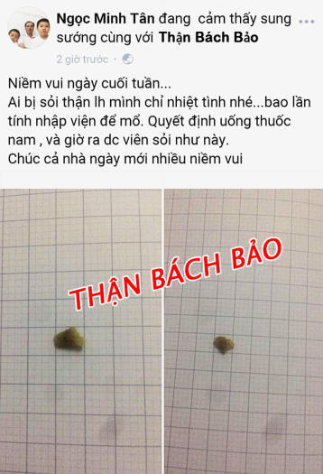 Thận Bách Bảo - Hỗ trợ tiêu trừ Sỏi Thận, Sỏi Mật (1 tháng 4 Hộp)