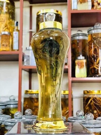 Thiên Sơn Tuyết Liên Hoa (Hoa Sen Tuyết)