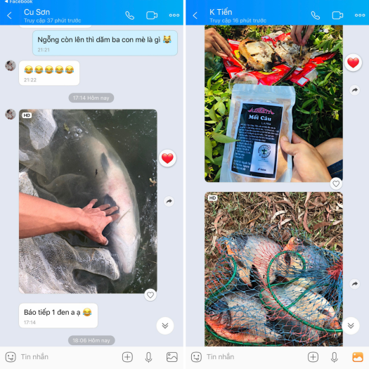 Thính câu cá LK HÒA siêu nhạy chuyên câu cá to - Mồi thính Lk Hòa dạng bột