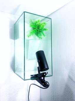 Bể nuôi rùa cảnh - chất liệu kính cao cấp 5ly 35*18*20cm (tặng máng leo và thức ăn)